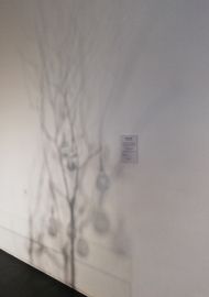 Copia de IMG_20220917_172749