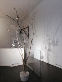 IMG_20220917_171847