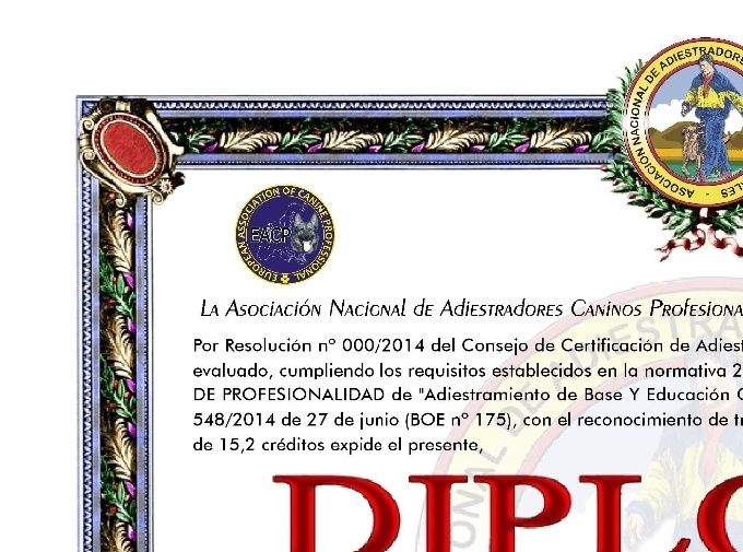 Modelo de Diploma de Adiestrador Canino Profesional certificado por la ANACP.