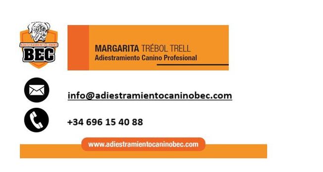 ADIESTRAMIENTO CANINO BEC. 
Teléf. 696 154 088. 
Mail: info@adiestramientocaninobec.com 
Web: www.adiestramientocaninobec.com. 
Ubicación: LOMAS DEL GALLEGO. ZUERA (ZARAGOZA)