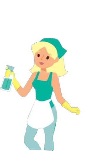Ana Janitorial Services LLC