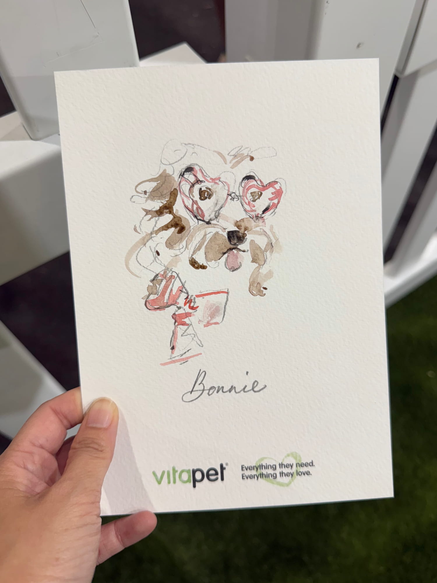 Live pet portrait of Bonnie wearing heart-shaped glasses, illustrated in watercolour during a Vitapet brand event in Brisbane