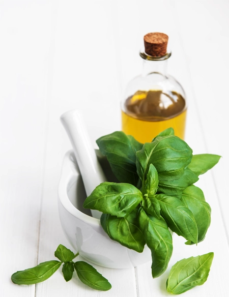 Spanish Extra Virgin Olive Oil from Andalusia | Andaluze Selection