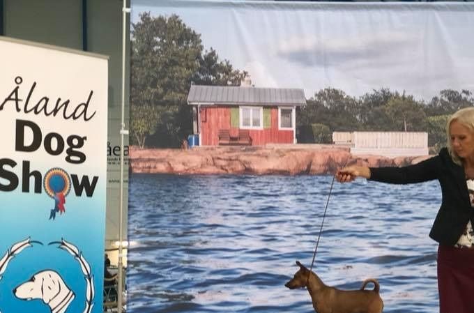 Åland 2018
