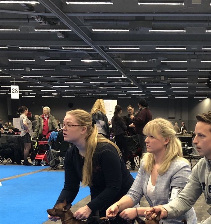 Andeless bästa uppfödargrupp
