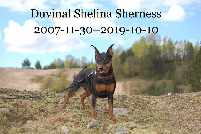 Vår fina prinsessa Shelina ❤️