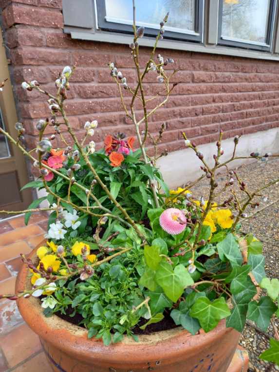 Resized_20210324_144418