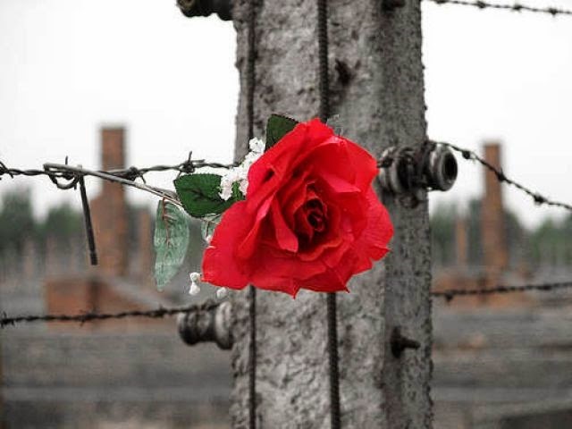 AuschiWitz - Arbeit macht frei