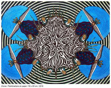 2016-Drone-crab