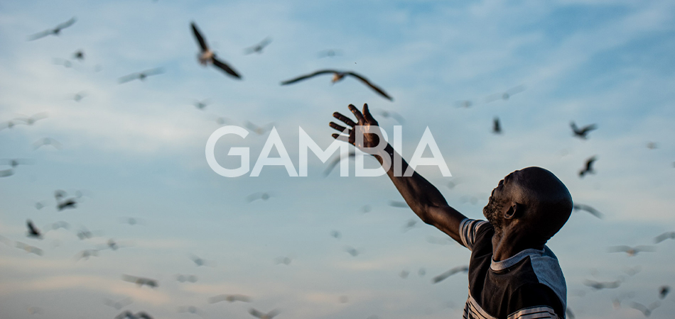 Projekt 950x350 Gambia 2026