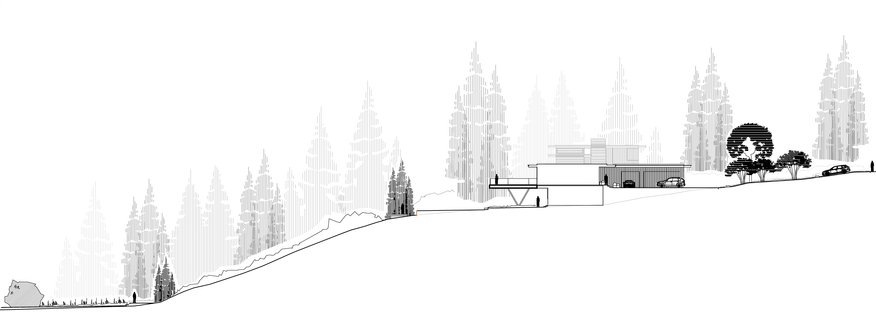 Andrew van Egmond -  Modern Landscape Architecture - South Surrey - White Rock BC Canada - Modern Nature Inclusive