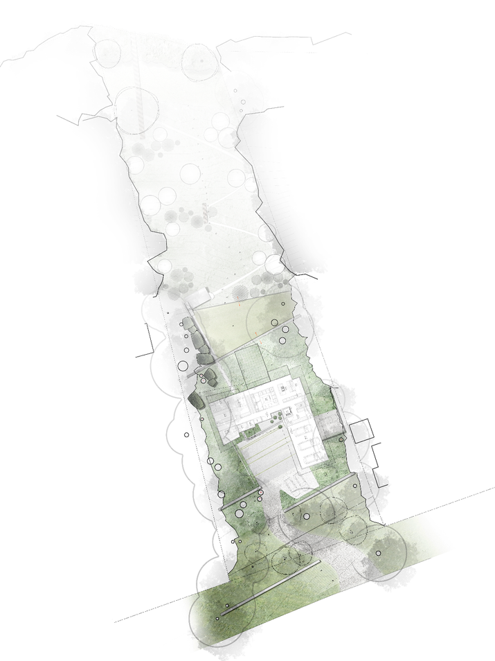 Andrew van Egmond -  Modern Landscape Architecture - South Surrey - White Rock BC Canada - Modern Nature Inclusive