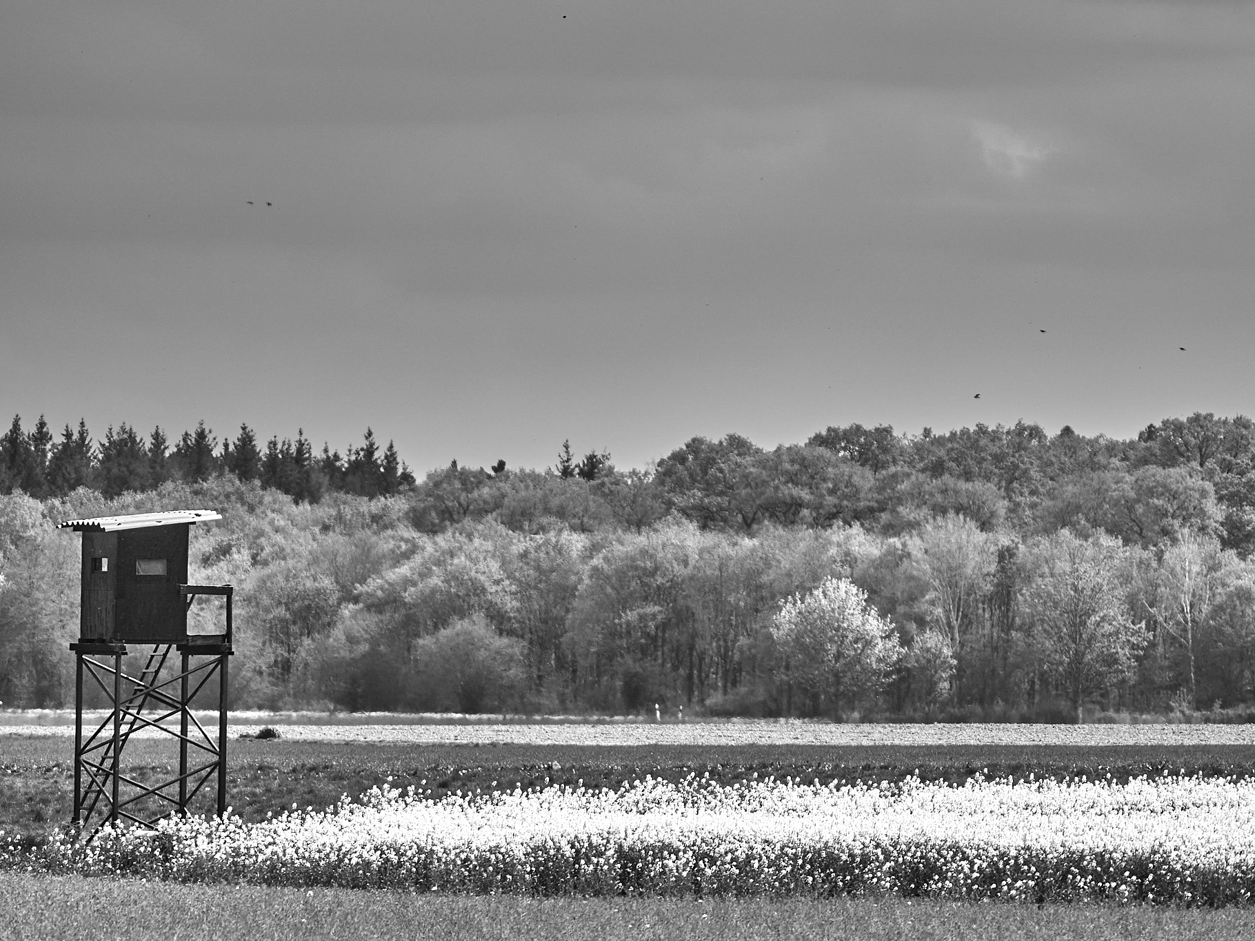 Natur