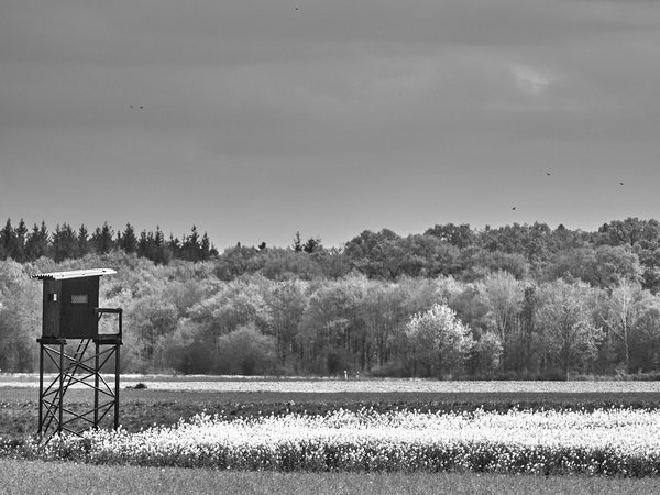 Natur