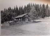 Hestløkken, Veldre, Ringsaker, Innlandet (Hedmark), Norway