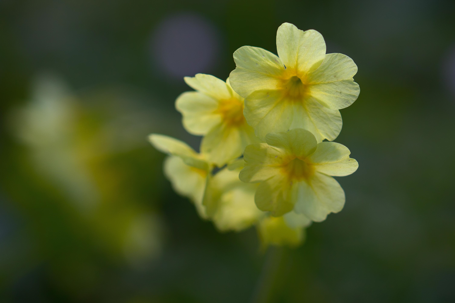 G10A8488-Edit-Edit