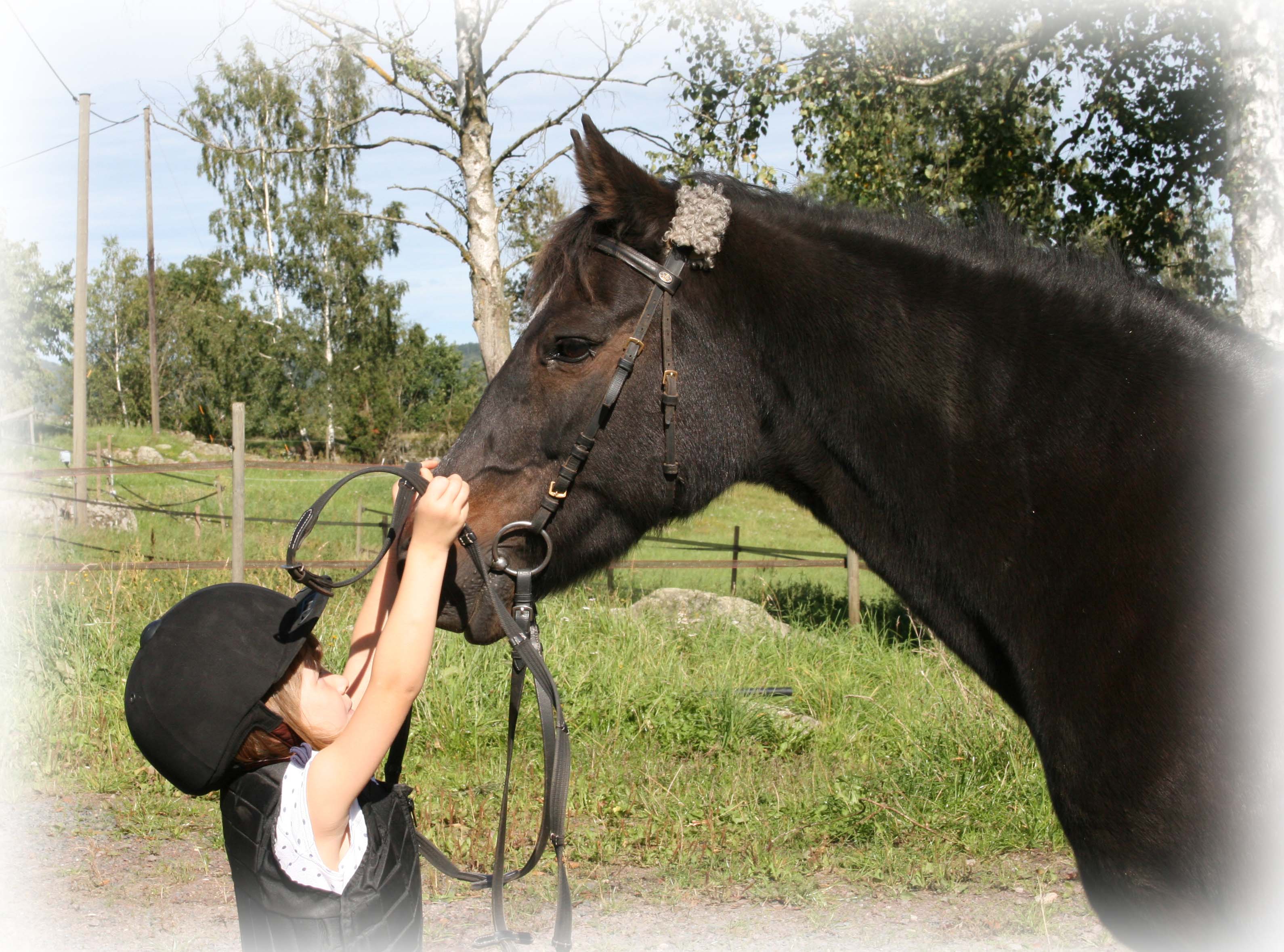 Myrens Anitra 1107, e Nice-n-Easy RC 26, ue Tiger Boy RC 11