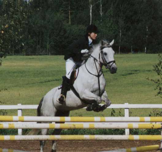 Brolötens Sheba RC 1151, e Finney Master RC 41, ue Moycullen Dan