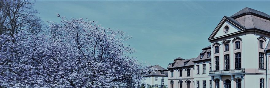 Université de Ingolstadt