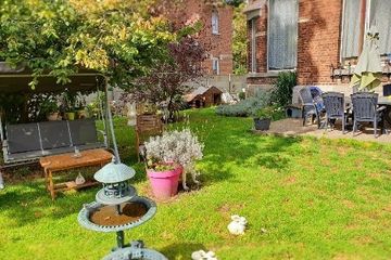 Le jardin pour les chiens résidents