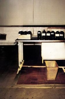 Table SRPA expérimentation animale Love Animals 1997