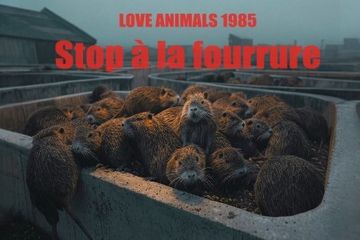 Scandale myocastor 1980 Love Animals Christiane Roufosse