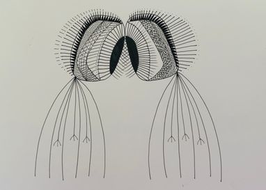 Connect_small