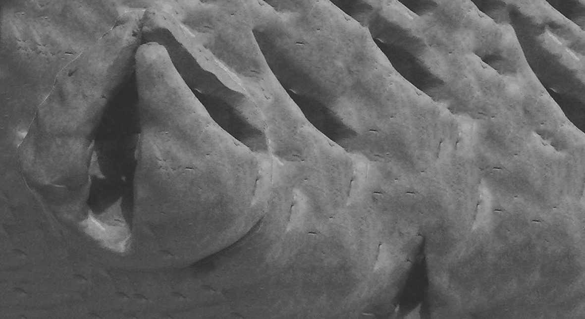 Fig. 8 Model, Photomontage, introverted structure grows out of riff