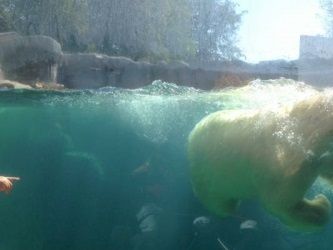 Tur til Zoo