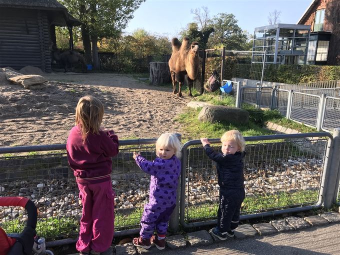 Tur til zoo