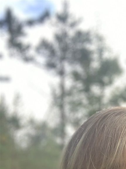 Raatteentien sotapolku