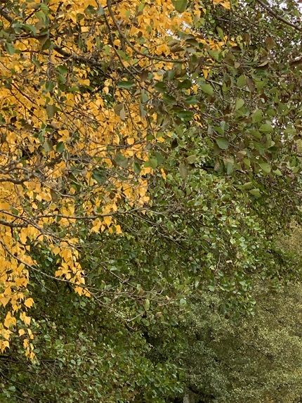 'Oma' ranta paras ranta