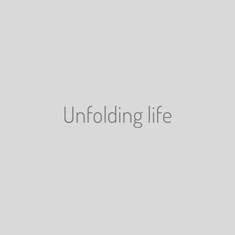IMG466