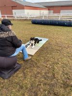 IMG_1484