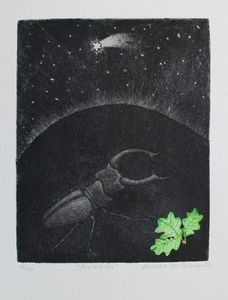 "Reflektion"