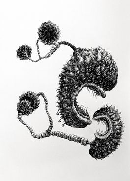Bestiarium 6