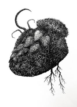 Bestiarium 7
