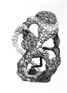 Bestiarium 9