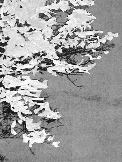 BR.C, archival pigment print, 2020