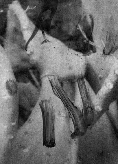 OR.B, archival pigment print, 2020