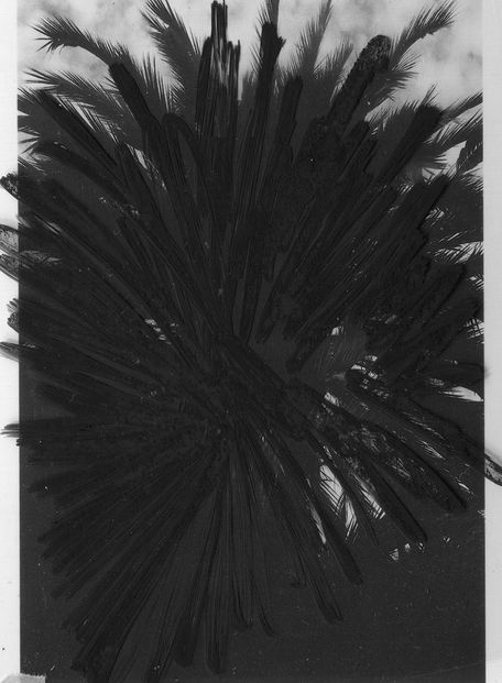 BC.B, archival pigment print, 2022