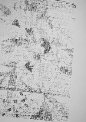Project Original 02