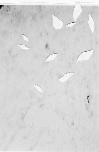 BE.A, archival pigment print, 550 x 792 mm, 2019