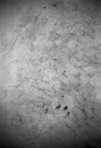 DI.B, archival pigment print, 550 x 376 mm, 2019