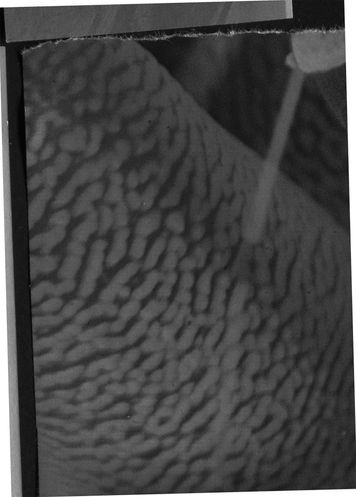 UT.K, archival pigment print, 550 x 396 mm, 2018