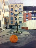 The ball in the backyard