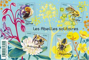 Les abeilles solitaires