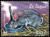Le lapin