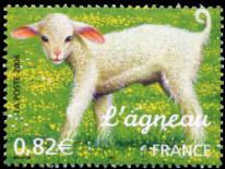 L'agneau