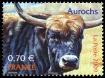 Aurochs